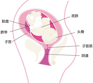 怀孕33周胎儿图片